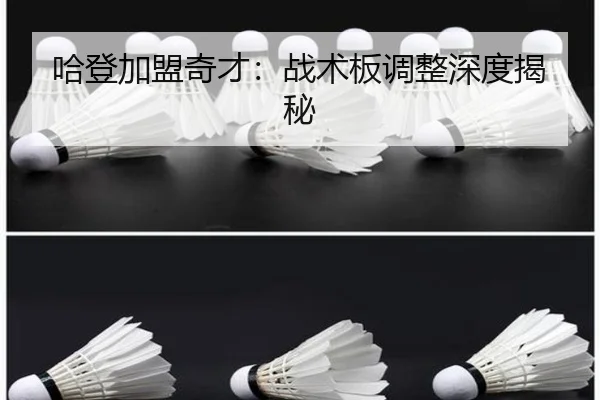 哈登加盟奇才：战术板调整深度揭秘 | igame