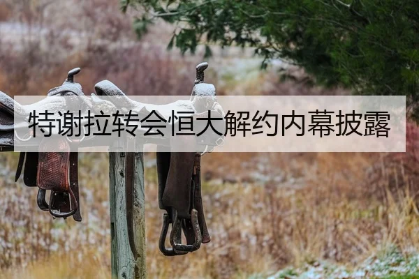 特谢拉转会恒大解约内幕披露 - igame